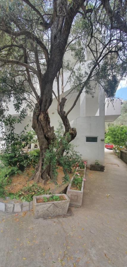 Guest House Mia Bečići Ngoại thất bức ảnh